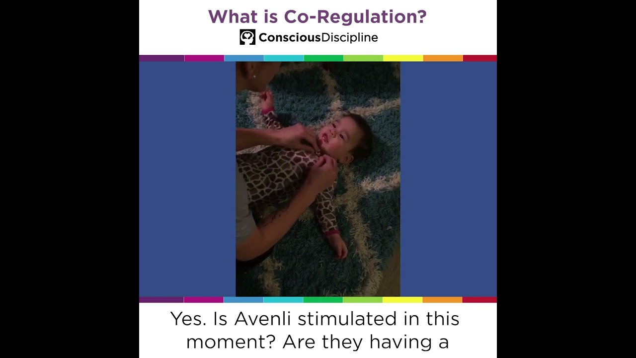 What is Co-Regulation?