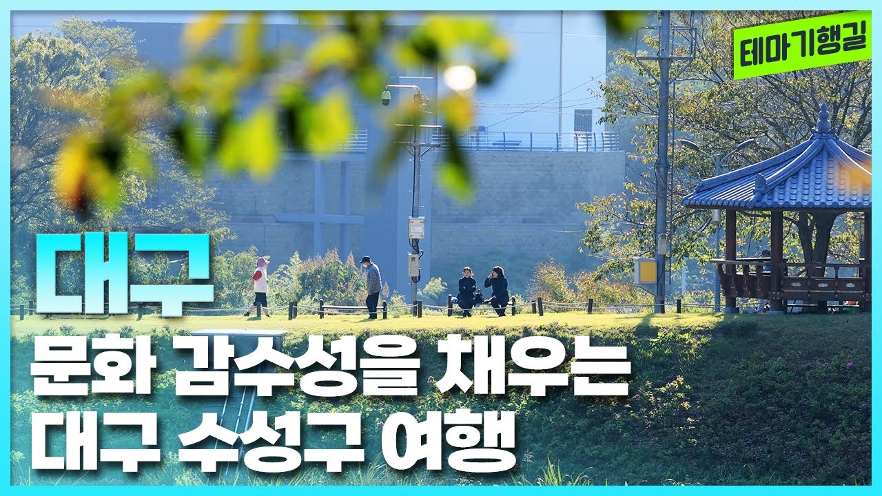 문화 감수성을 채우는 대구 수성구 여행  | 테마기행길 251128 방송