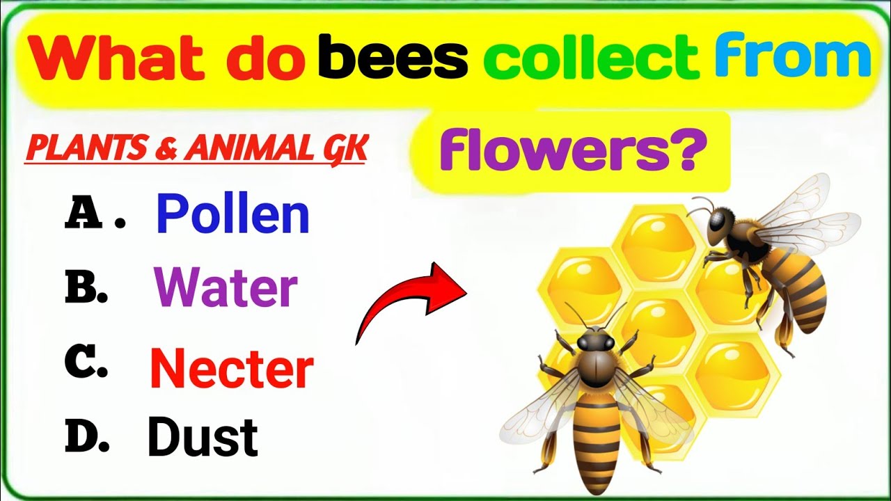 Plants and Animals GK Quiz | Fun General Knowledge Questions for Kids 🌿🐾