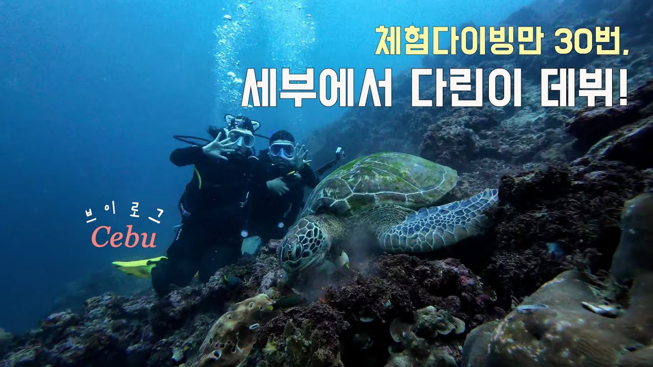 [4K] 🇵🇭  세부 오픈워터 취득 A to Z | 체험다이빙 30번 후 드디어 ‘정식 다린이’ 입문  | 세부 다이빙