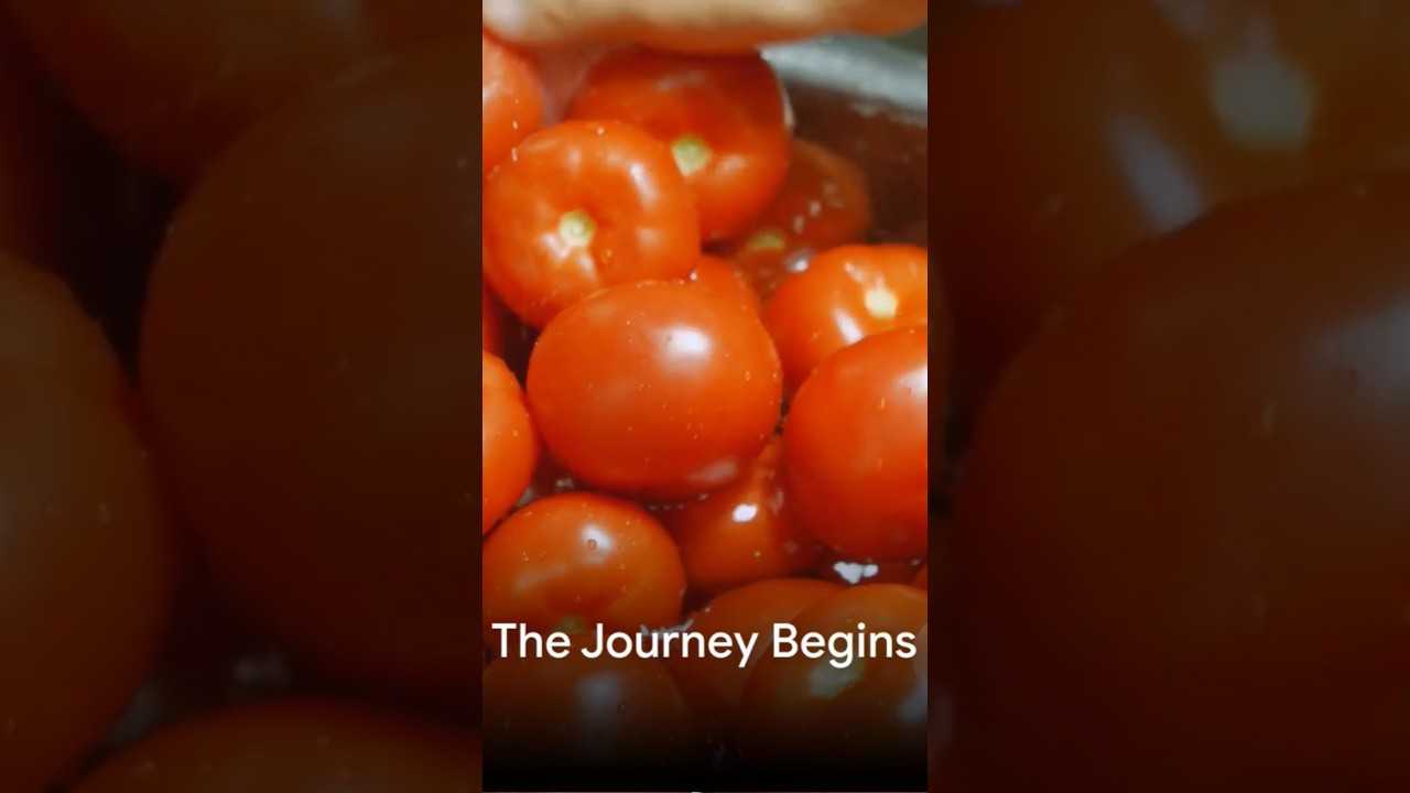 Ever Know How Ketchup Is Made: Lets Jump To The Process 🥫🍅#ketchup #ketchup making #factorymaking