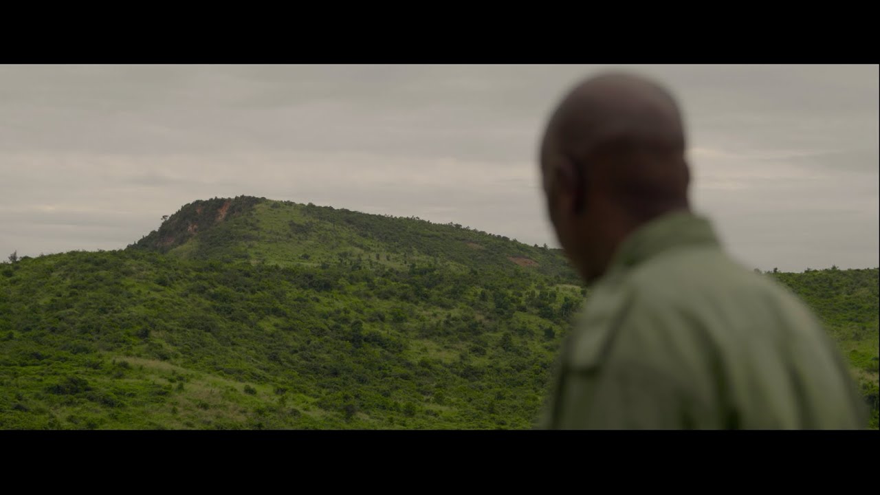 Trillion Trees: Restoring and saving Tanzania's coastal forests