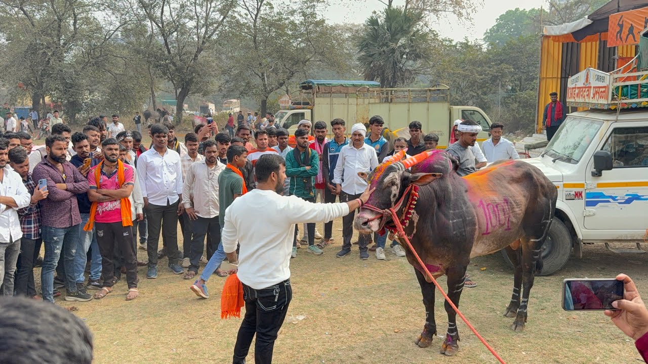 राहुल भाई पाटील मैदानात दाखल घेतला मथुरचा दर्शन 😍