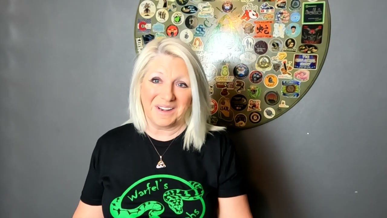 Double SNAKE Unboxing @CelticBalls #youtube #subscribe #instagram #tiktok #reptiles #ballpython