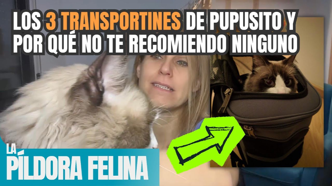 Los 3 TRANSPORTINES de Pupusito y por qué no te recomiendo ninguno || 550