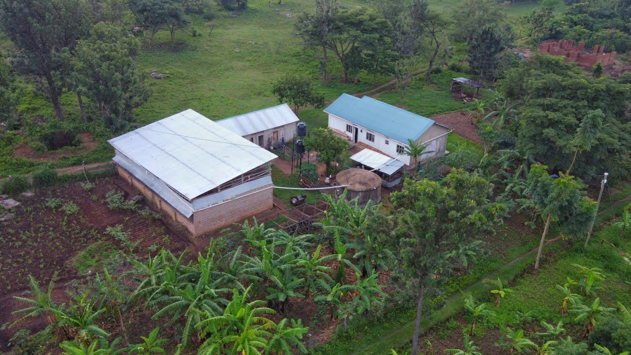 My AFRICAN Homestead Farm