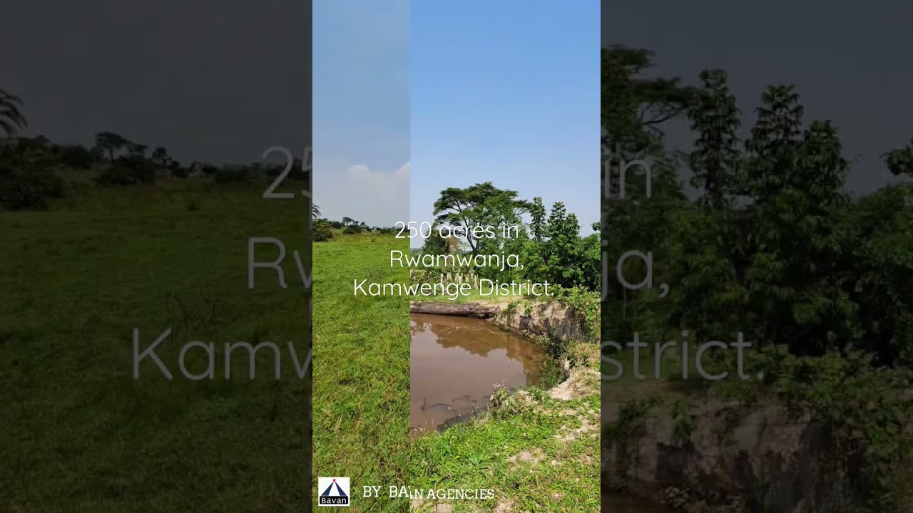 250 acres of land for sale in Rwamwanja, Kamwenge District, Uganda
