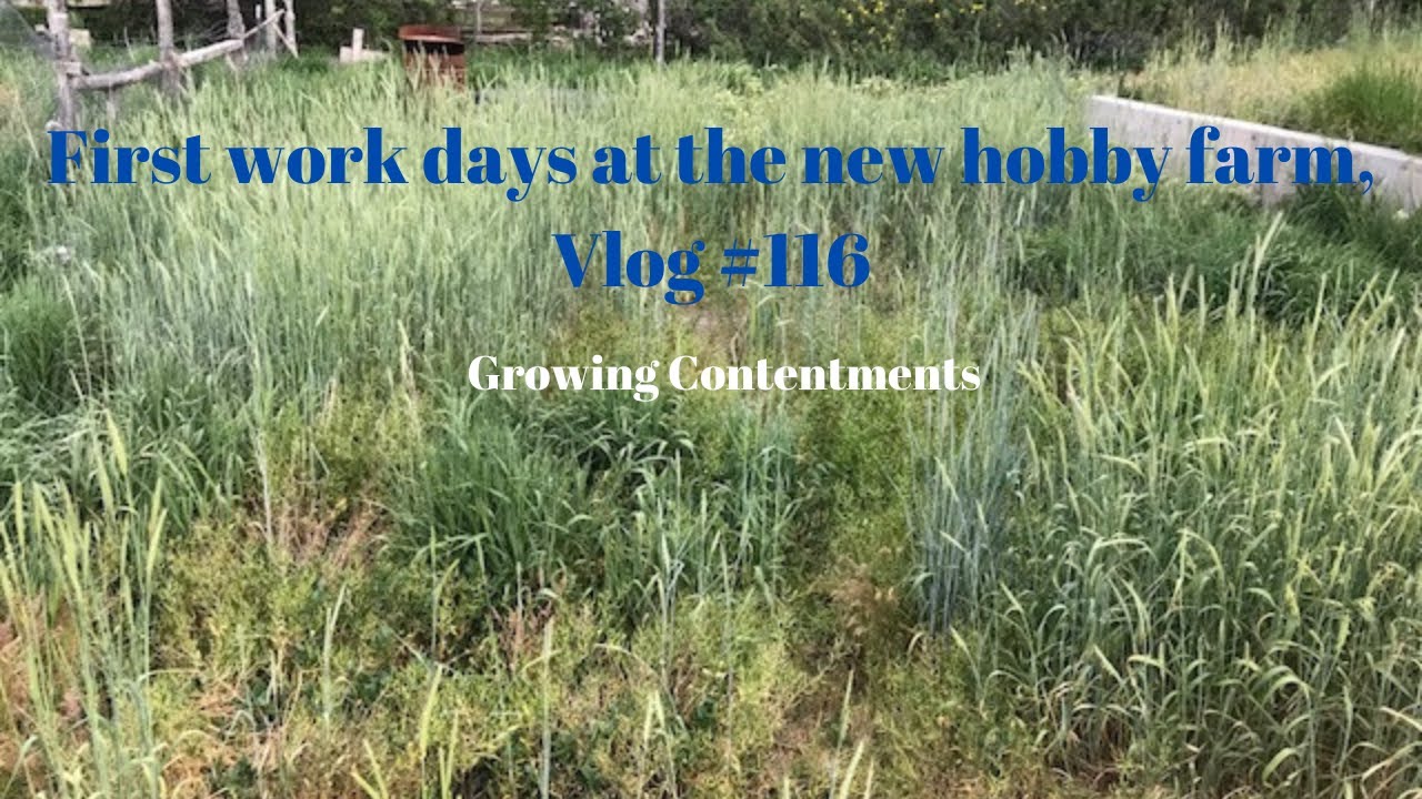 First work days at the new hobby farm, Vlog #116