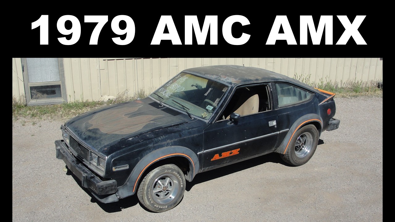 AMC AMX Auction Accident: I really didn't mean to buy it (them)!