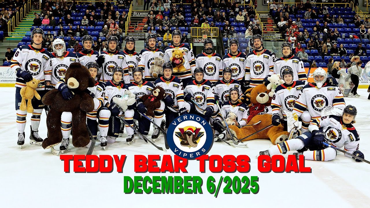 The 2025 Teddy Bear Toss Goal