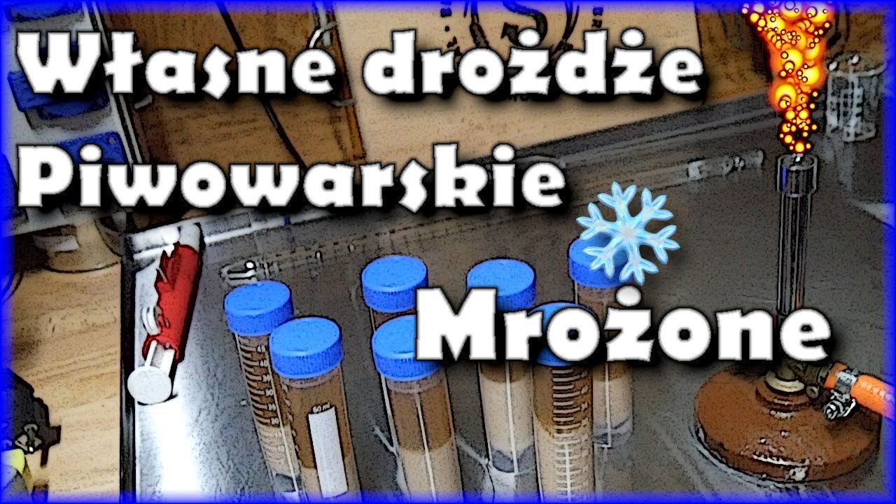 Mrożenie drożdży ❄️🍄 Bank drożdży piwowarskich🏦🧪