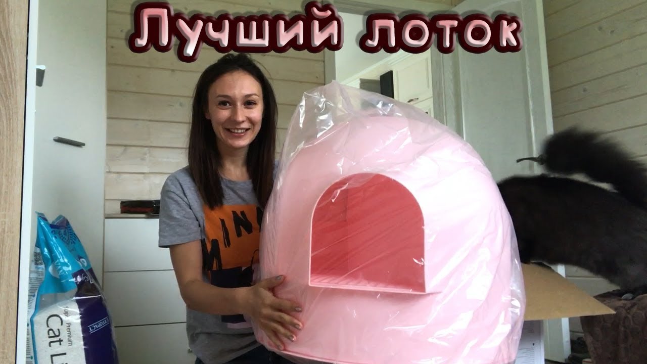 Лучший лоток для кошек от PIDAN