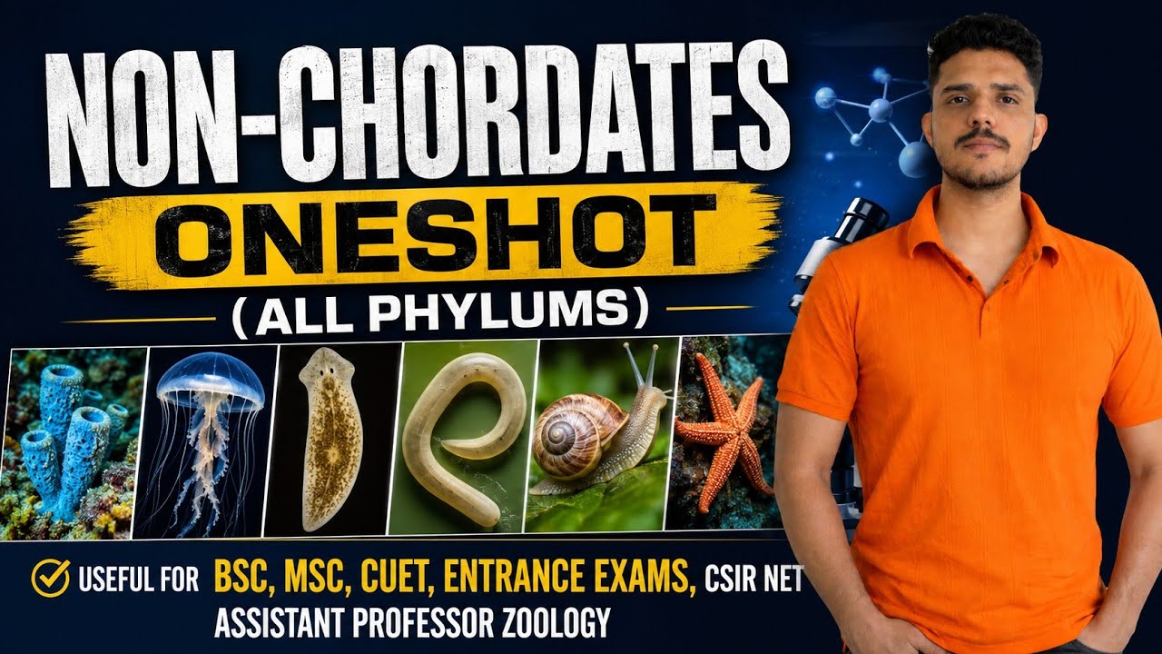 Non-chordates all phylum 1 shot/ Up Assistant professor  zoology / UP GIC Lecturer biology #uppsc