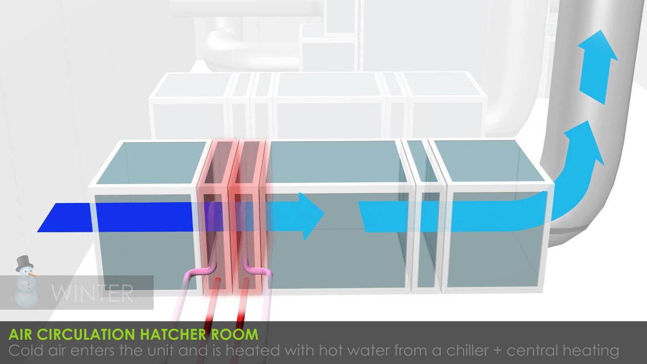 Petersime turnkey hatcheries: air circulation in the hatchery