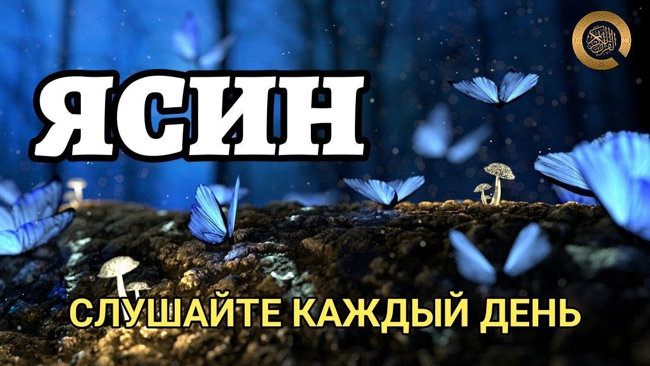 Сура Ясин,Слушайте каждый день! Yasin TV!