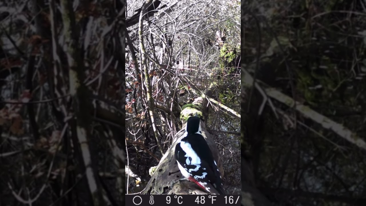 Passage pour subsister sur l’eau 