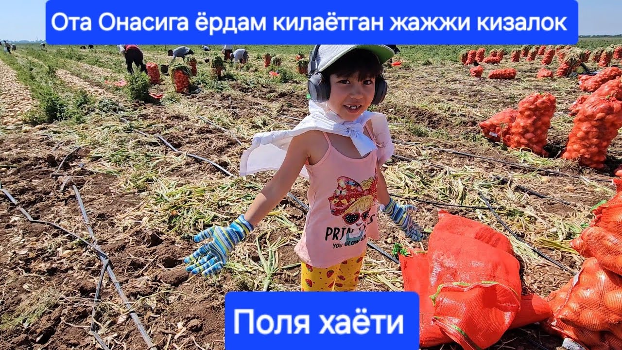 Волгоград поля хаёти #xorazm #toshkent #andijon #navoiy #buxoro #namangan #qarshi #termiz termiz