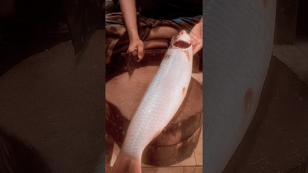Incredible Cutting Skills Mrigal Fish || Mrigal Fish Cutting Skills  In The Local Fish Markets.
