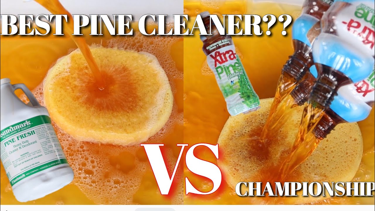 🌲🌲 ASMR THE CHAMPIONSHIP!! WHO’S THE BEST PINE!?!?!?!?! 🌲🌲