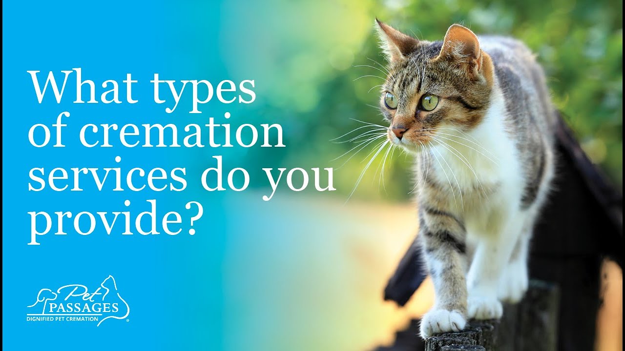What types of cremation services does Pet Passages provide?