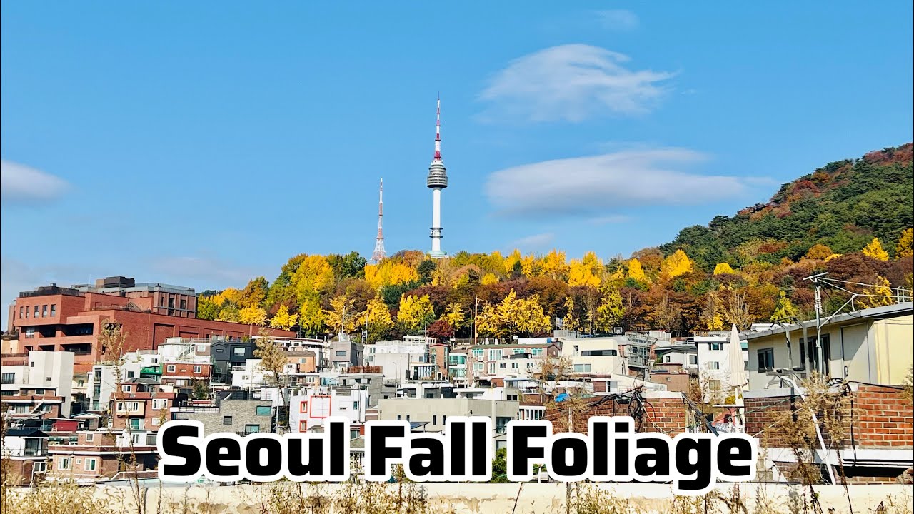 Seoul Fall Foliage | Autumn Vibes | Fall | Namsan Park