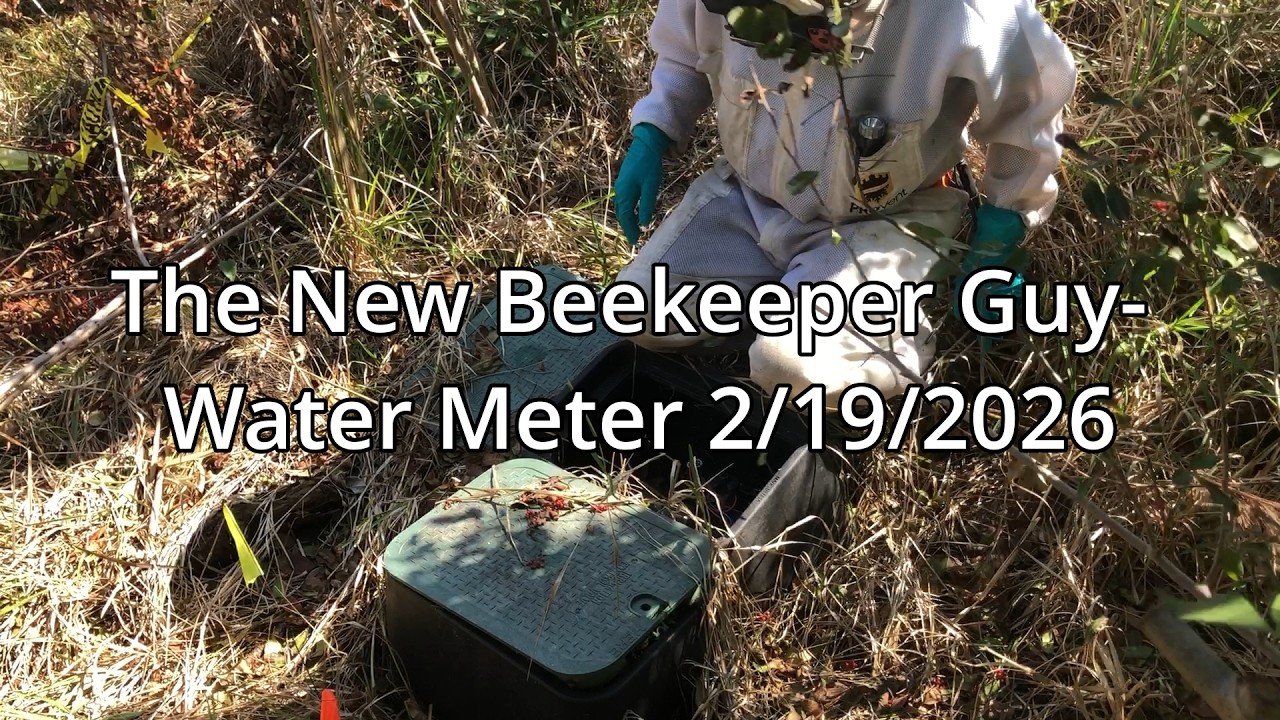 The New Beekeeper Guy- Water Meter 2 /19/26