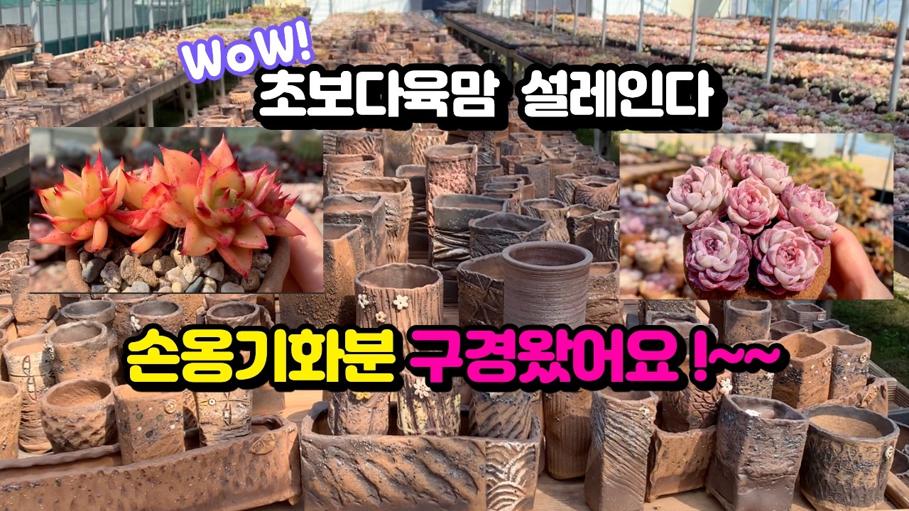260320[브이로그]#손옹기 화분매장 다녀왔어요 🌿 봄날의 힐링 시간