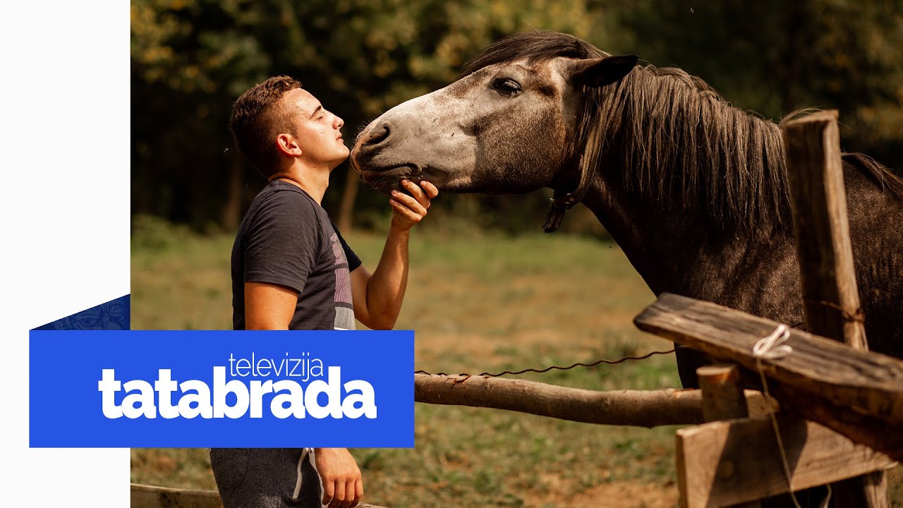 Od svoje 13. godine radi sa konjima - Sa 18. otvorio svoj ranč - tatabrada.tv