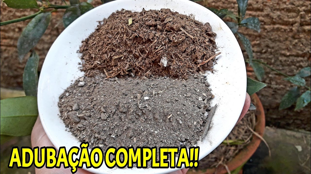 ANTES DE ADUBAR TUAS FRUTÍFERAS ASSISTA ESSE VÍDEO!!