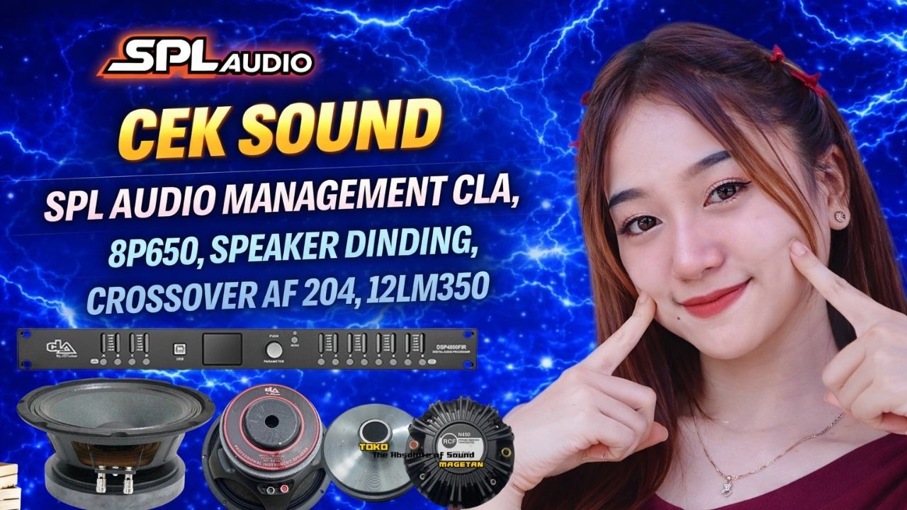 CEK SOUND DLMS 4800FIR-SPEAKER 12LM350-CROSSOVER AF 204-SPEAKER 8P650