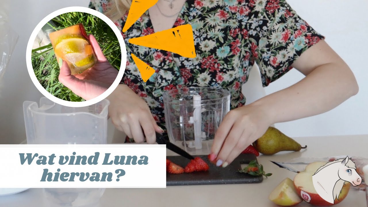 DIY paardenijsjes! |Raising.Little.Luna