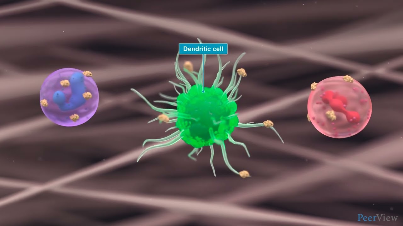 The Role of Epithelial Cytokines in CRSwNP