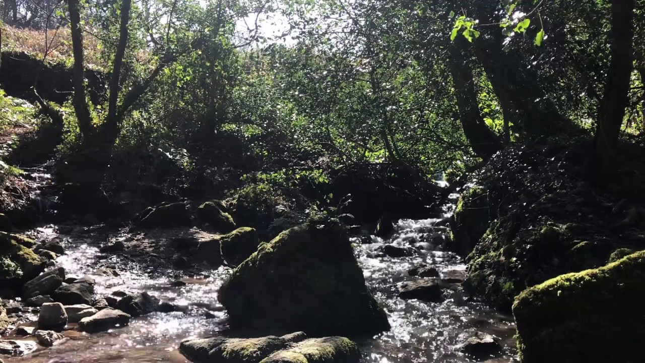 Kennall Vale Nature Reserve | Ponsanooth | Running Water (III)