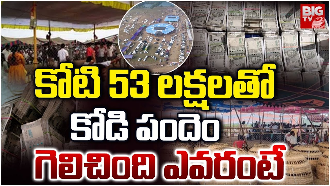 కోటి 53 లక్షలతో కోడి పందెం.. గెలిచింది ఎవరంటే.. Bhimavaram Kodi Pandalu 2026 Videos | BIG TV