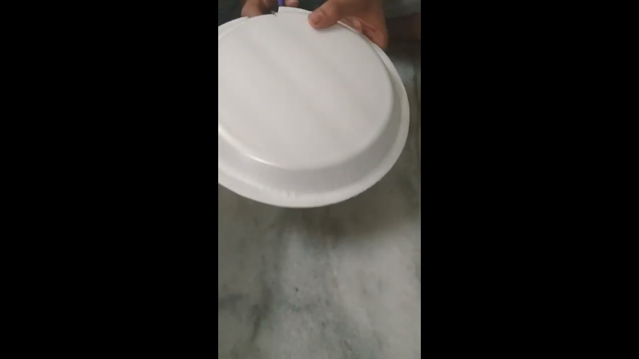 How to make  fish with  paper plate