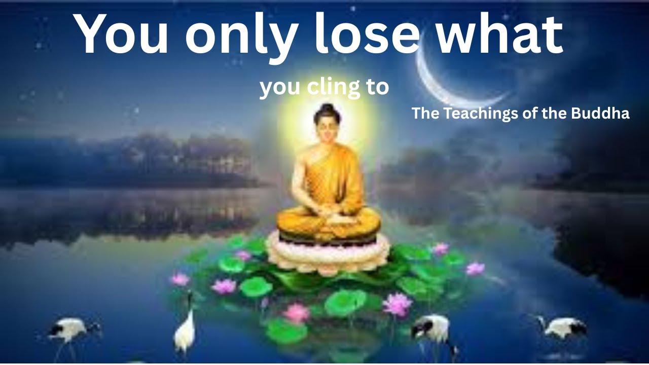 Lesson 6: you only lose what you cling to | The Teachings of the Buddha