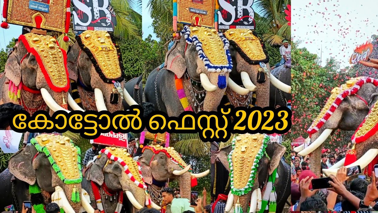 കോട്ടോൽ ഫെസ്റ്റിന് ഗജവീരന്മാരുടെ മരണമാസ് എൻട്രികൾ| കേശവൻ & അയ്യപ്പൻ &രാജശേഖരൻ..etc| kottol fest 2023
