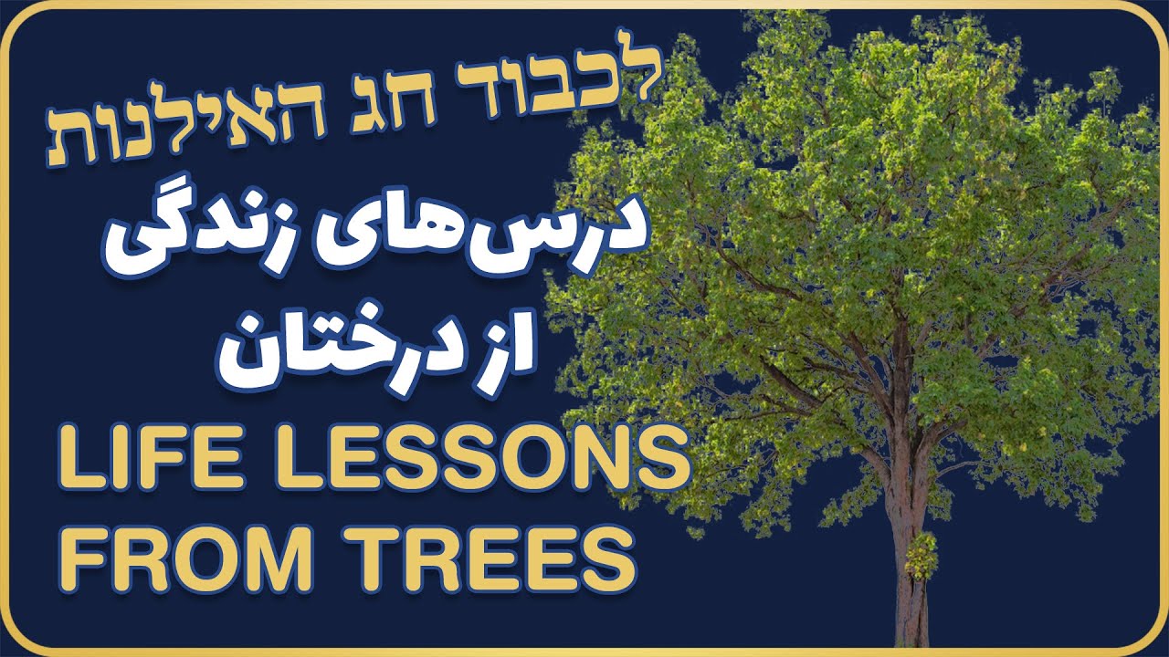 Life Lessons from Trees (2026) - درس های زندگی از درختان