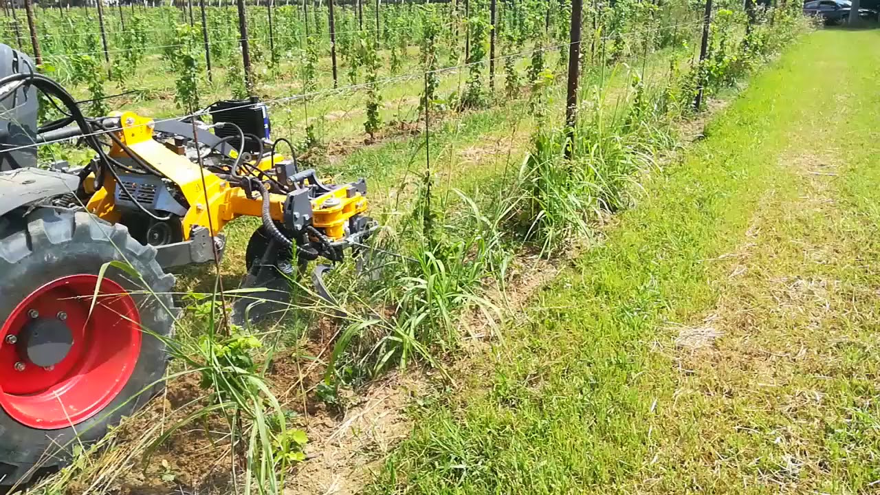 Vitis 2 con vomeri scalzatori