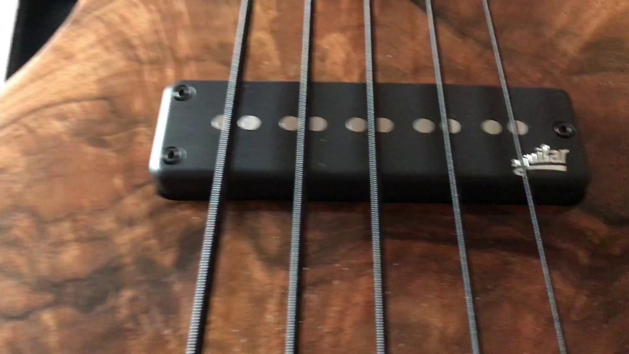 Testing Aguilar AG 700 & DB210 | Alpher Mako Elite 5 Bass | Vincent Cuevas