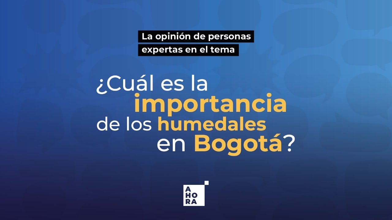 ¿Cuál es la importancia de los humedales de Bogotá? | AHORA