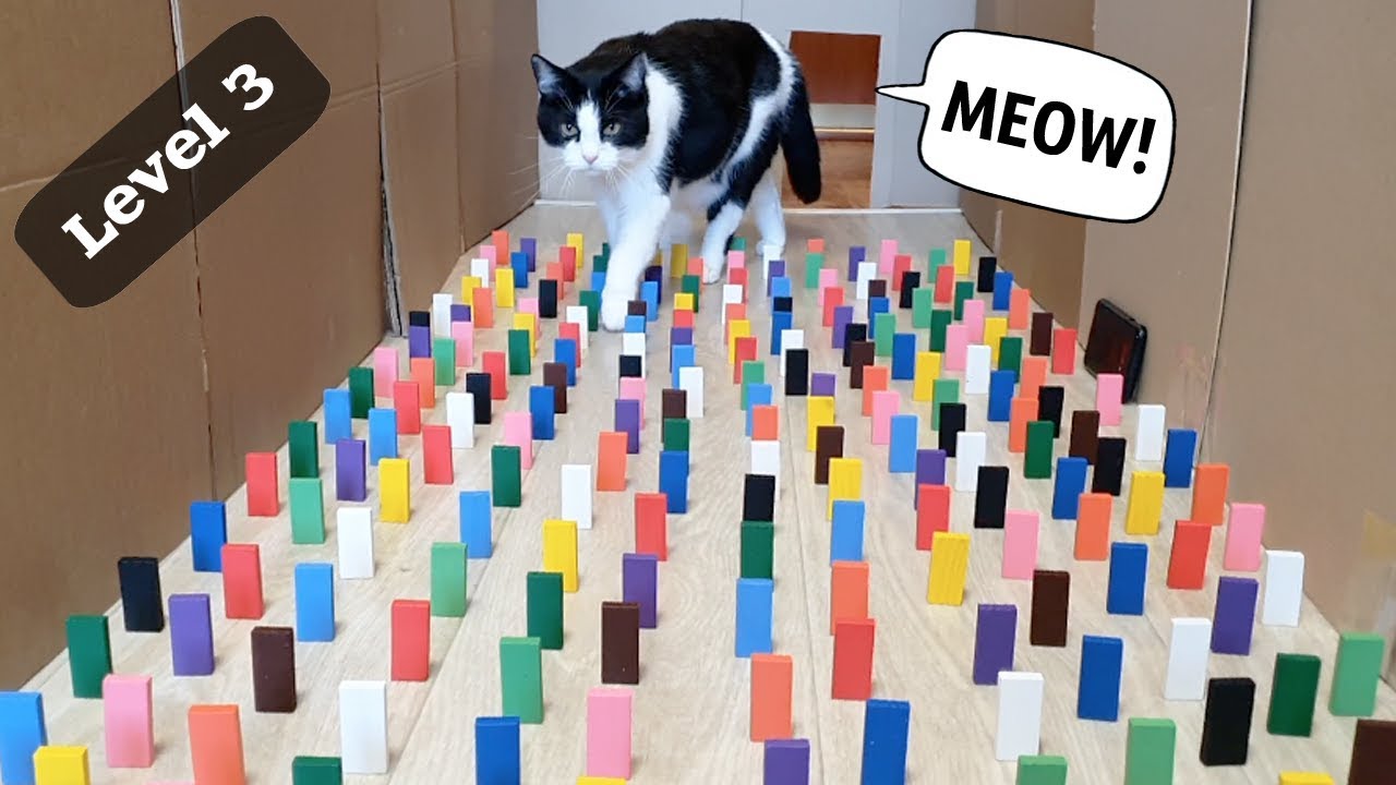 Obstacle Challenge for the Cat. 3 levels