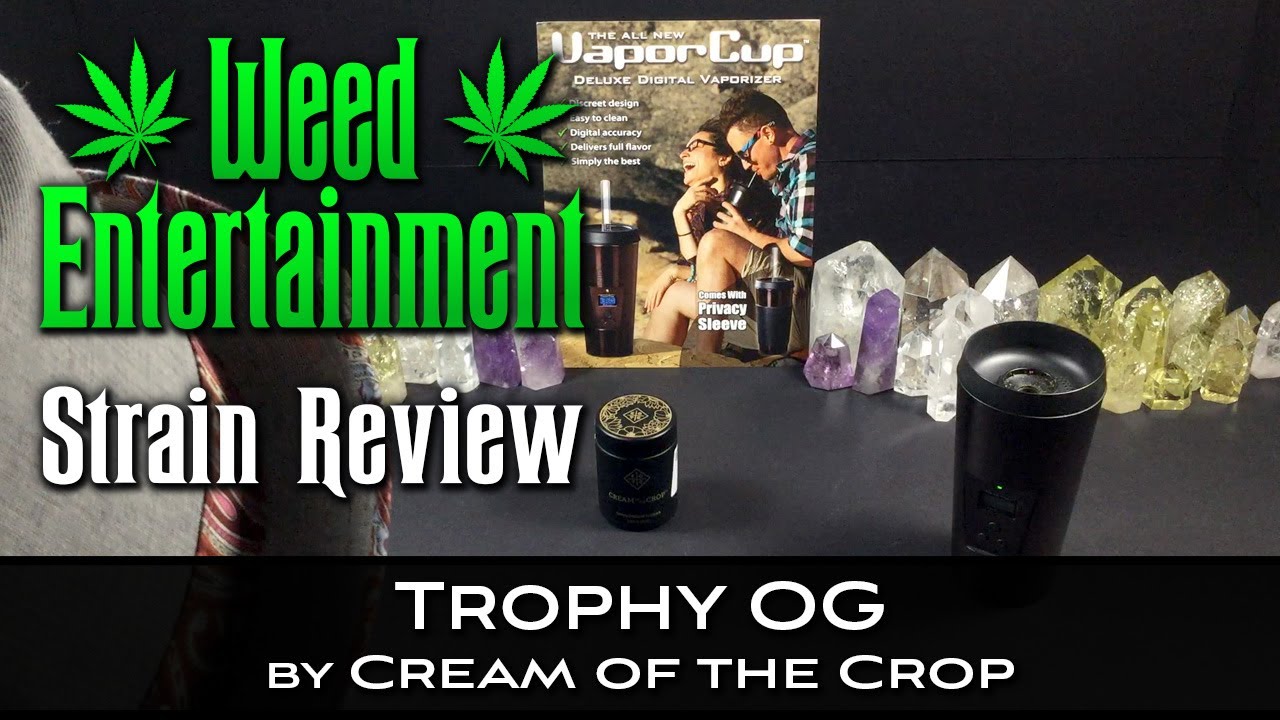 Trophy OG - by Cream of the Crop - Strain Review - February 2022