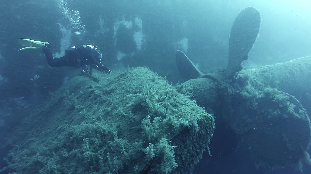 Two dives at Zenobia