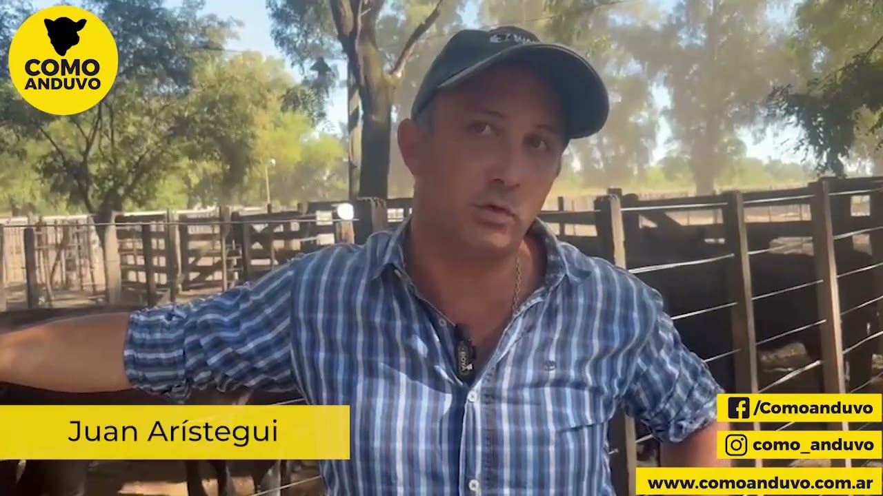 Juan Arístegui; Rte de Hugo R. Arístegui y Cía.  Cacharí 10/2/26.