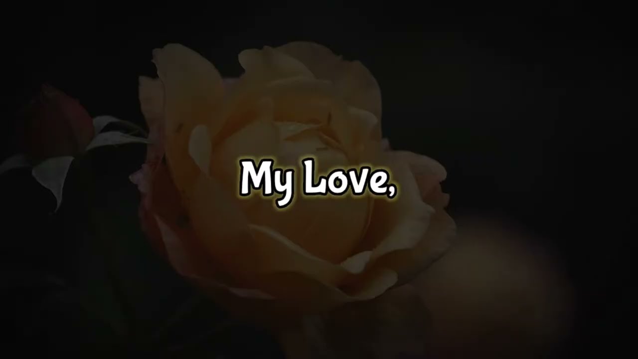 I love You and I Never Want To Lose You..❤️ - Someone Special Love Messages
