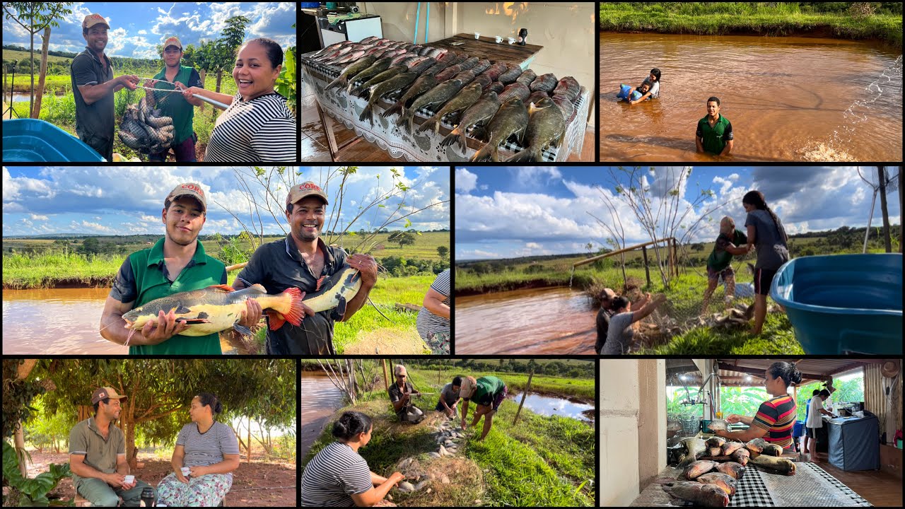 INACREDITÁVEL QUANTOS PEIXES CONSEGUIMOS TIRAR NOVAMENTE DE DENTRO DO TANQUE-PEGAMOS SÓ OS MAIORES…