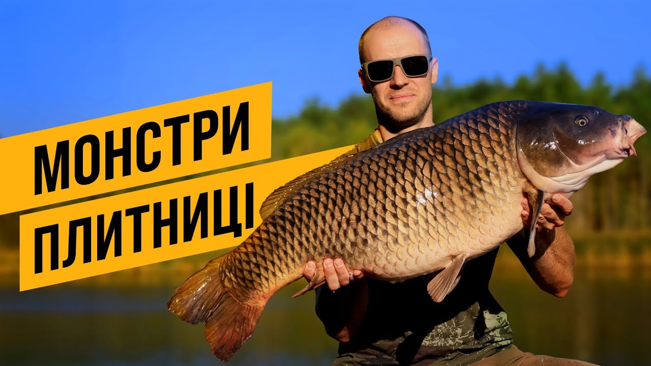 МОНСТРИ ПЛИТНИЦІ! BIGFISH ВОДОЙМИ! ПОТУЖНА РИБОЛОВЛЯ! ЯК ЦЕ БУЛО?!