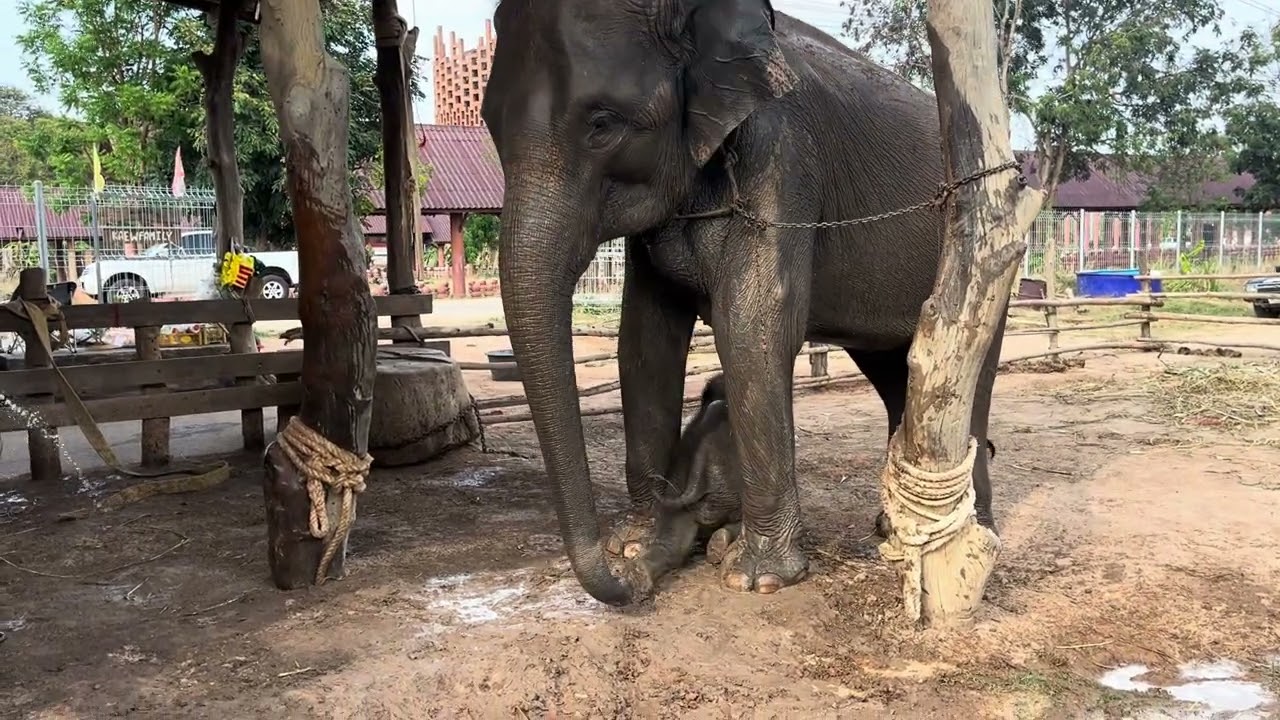 อากาศร้อนออมทรัพยอยากอาบน้ำ