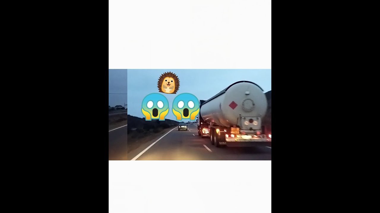 أجي تشوف شنو جبنا من كازا أنا والواليد 😲🔥👀❤️🤔